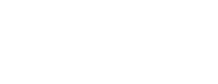 Eagle Automotive Sales